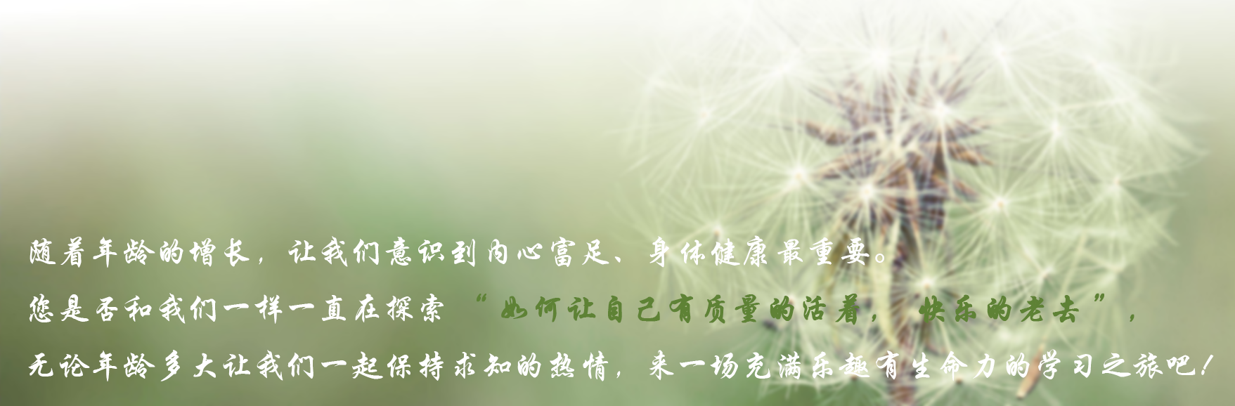 ac29ba10ecdbcfdeb309e6f5614087d8.png
