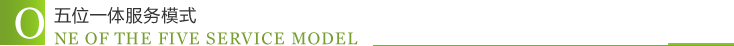 五位一体服务模式