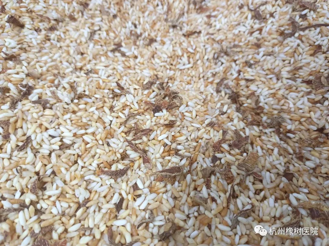 1703729941665092.jpg 5.jpg