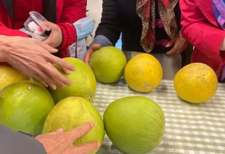 1703729968560215.jpg 10.jpg