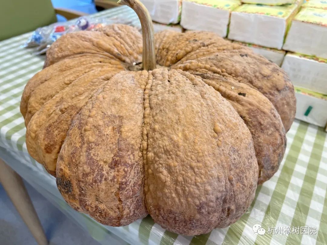 1703731217427259.jpg 8.jpg