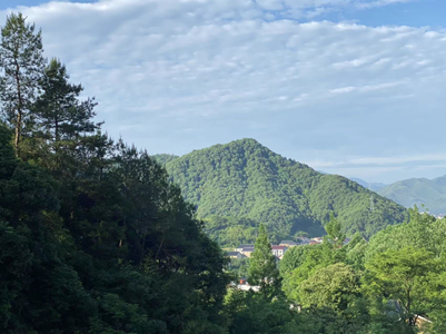 1703732210943307.png 7.png