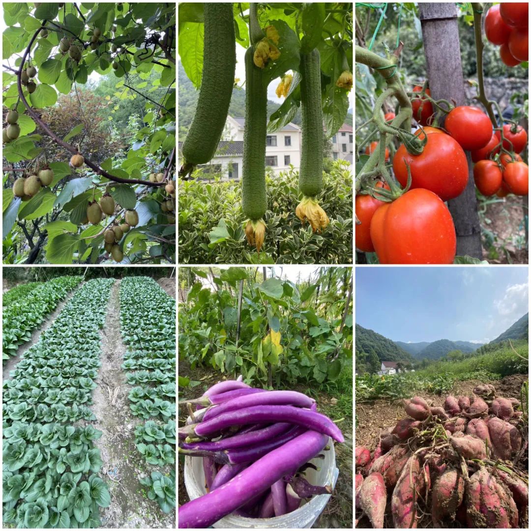 1703732215261102.jpg 8.jpg