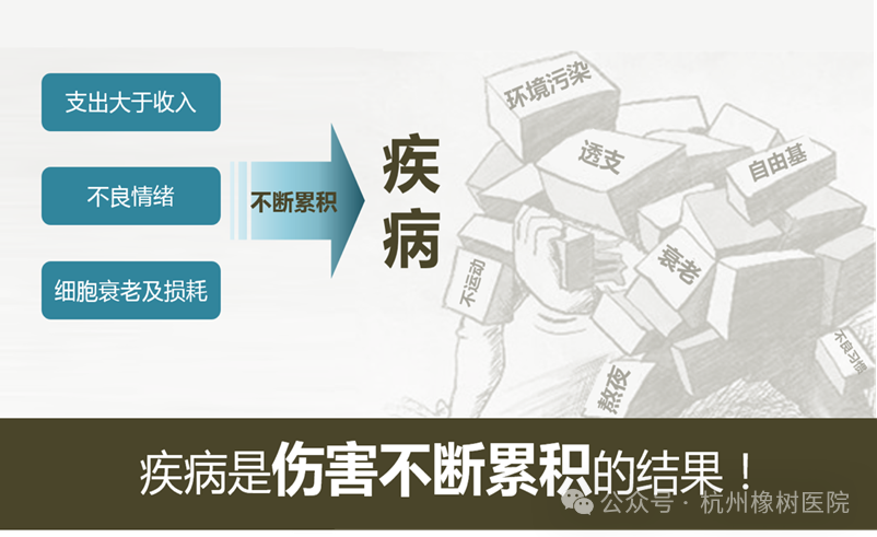 1734241694461167.png 28a5395961c0f00af0ee427b983caa63.png